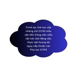 Trình tự, thủ tục cấp chứng chỉ CITES mẫu vật tiền Công ước mẫu vật các loài động vật, thực vật hoang dã nguy cấp thuộc các Phụ lục CITES