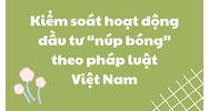 Kiểm soát hoạt động đầu tư “núp bóng” theo pháp luật Việt Nam