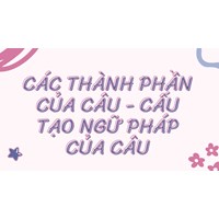 Các thành phần của câu - Cấu tạo ngữ pháp của câu
