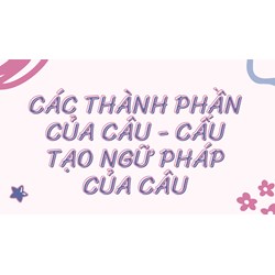 Các thành phần của câu - Cấu tạo ngữ pháp của câu
