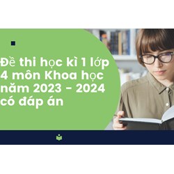 Đề thi học kì 1 môn Khoa học lớp 4 có đáp án