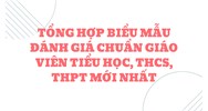 Tổng hợp Biểu mẫu đánh giá chuẩn giáo viên tiểu học, THCS, THPT mới nhất