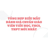Tổng hợp Biểu mẫu đánh giá chuẩn giáo viên tiểu học, THCS, THPT mới nhất