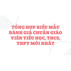 Tổng hợp Biểu mẫu đánh giá chuẩn giáo viên tiểu học, THCS, THPT mới nhất