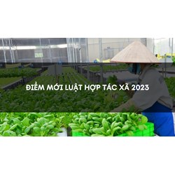 Những điểm mới luật hợp tác xã 2023 cập nhật mới nhất