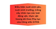 Điều kiện nuôi sinh sản, nuôi sinh trưởng, trồng cấy nhân tạo các loài động vật, thực vật hoang dã theo Phụ lục của Công ước CITES