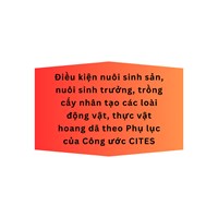 Điều kiện nuôi sinh sản, nuôi sinh trưởng, trồng cấy nhân tạo các loài động vật, thực vật hoang dã theo Phụ lục của Công ước CITES