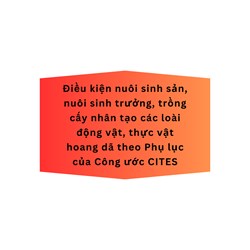 Điều kiện nuôi sinh sản, nuôi sinh trưởng, trồng cấy nhân tạo các loài động vật, thực vật hoang dã theo Phụ lục của Công ước CITES