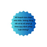 Kế hoạch lựa chọn nhà thầu  không đăng tải có bị xử phạt gì theo quy định pháp luật không?
