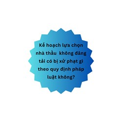 Kế hoạch lựa chọn nhà thầu  không đăng tải có bị xử phạt gì theo quy định pháp luật không?