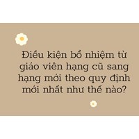 Điều kiện bổ nhiệm từ giáo viên hạng cũ sang hạng mới theo quy định mới nhất như thế nào?