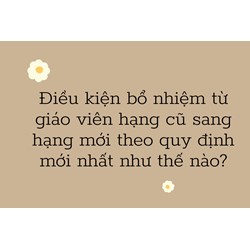 Điều kiện bổ nhiệm từ giáo viên hạng cũ sang hạng mới theo quy định mới nhất như thế nào?