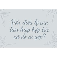Vốn điều lệ của liên hiệp hợp tác xã do ai góp?