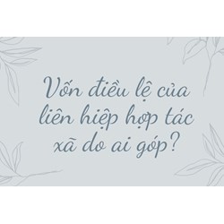 Vốn điều lệ của liên hiệp hợp tác xã do ai góp?