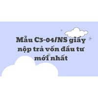 Mẫu giấy nộp trả vốn đầu tư (Mẫu C3-04/NS) mới nhất