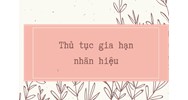 Thủ tục gia hạn nhãn hiệu, logo độc quyền chi tiết và cập nhật mới nhất