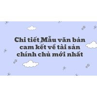 Chi tiết Mẫu văn bản cam kết về tài sản chính chủ mới nhất