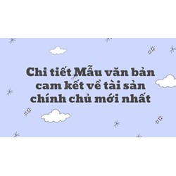 Chi tiết Mẫu văn bản cam kết về tài sản chính chủ mới nhất