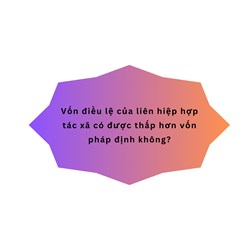 Vốn điều lệ của liên hiệp hợp tác xã có được thấp hơn vốn pháp định không?
