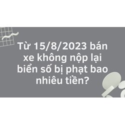 Bán xe mà không nộp lại biển số bị phạt bao nhiêu tiền?