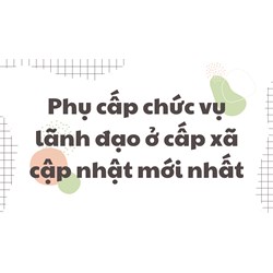 Phụ cấp chức vụ lãnh đạo ở cấp xã cập nhật mới nhất