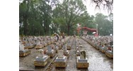 Thẩm quyền cấp giấy xác nhận thông tin nơi liệt sĩ hy sinh