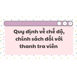 Quy định về chế độ, chính sách đối với thanh tra viên mới nhất