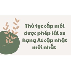 Thủ tục cấp mới được phép lái xe hạng A1 cập nhật mới nhất