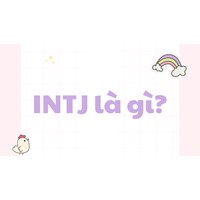 INTJ là gì? Đặc điểm và tính cách của INTJ - Nhà kiến tạo