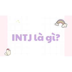 INTJ là gì? Đặc điểm và tính cách của INTJ - Nhà kiến tạo