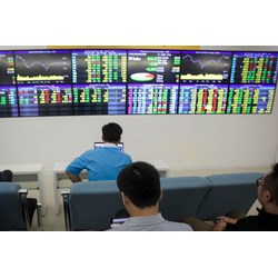 Trong công bố thông tin định kỳ công ty đại chúng phải công bố những nội dung nào? Việc công bố thông tin định kỳ được thực hiện như thế nào?