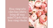 Hoa cúng nên cắm bao nhiêu bông để may mắn? Cách chọn hoa cúng chuẩn