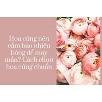 Hoa cúng nên cắm bao nhiêu bông để may mắn? Cách chọn hoa cúng chuẩn