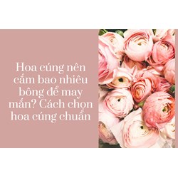 Hoa cúng nên cắm bao nhiêu bông để may mắn? Cách chọn hoa cúng chuẩn