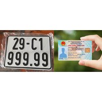 Biển số định danh được quản lý ra sao?