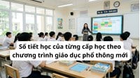 Số tiết học của từng cấp học theo chương trình giáo dục phổ thông mới