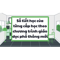 Số tiết học của từng cấp học theo chương trình giáo dục phổ thông mới