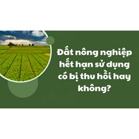 Đất nông nghiệp hết hạn sử dụng có bị thu hồi hay không?