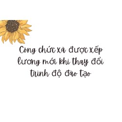 Công chức xã được xếp lương mới khi thay đổi trình độ đào tạo