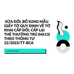 Mẫu giấy tờ quy định về Tờ khai cấp đổi, cấp lại thẻ thường trú (NA13)