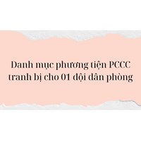 Danh mục phương tiện PCCC trang bị cho 01 đội dân phòng