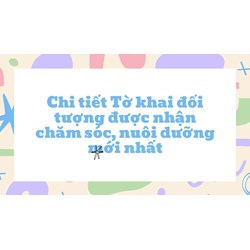 Chi tiết Tờ khai đối tượng được nhận chăm sóc, nuôi dưỡng mới nhất