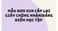 Mẫu Đơn xin cấp lại giấy chứng nhận/bảng điểm học tập năm 2024