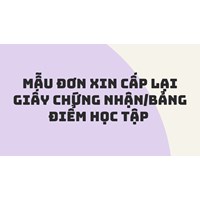 Mẫu Đơn xin cấp lại giấy chứng nhận/bảng điểm học tập năm 2024