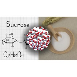 Cách nhận biết Glucozơ, Saccarozơ, Tinh bột, Xenlulozơ đơn giản