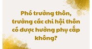 Phó trưởng thôn, trưởng các chi hội thôn có được hưởng phụ cấp không?