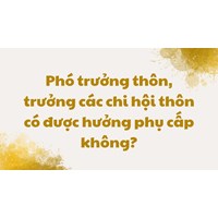 Phó trưởng thôn, trưởng các chi hội thôn có được hưởng phụ cấp không?