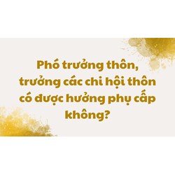 Phó trưởng thôn, trưởng các chi hội thôn có được hưởng phụ cấp không?