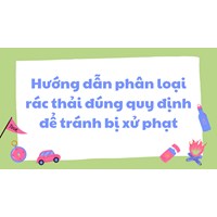 Hướng dẫn phân loại rác thải đúng quy định để tránh bị xử phạt