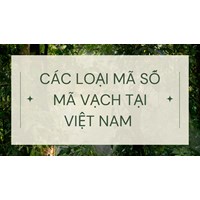 Các loại mã số mã vạch tại Việt Nam